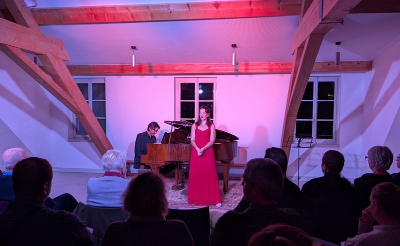 Concert Lausanne Janvier 2025 (Salle Maison de quartier du Désert) — photo 6